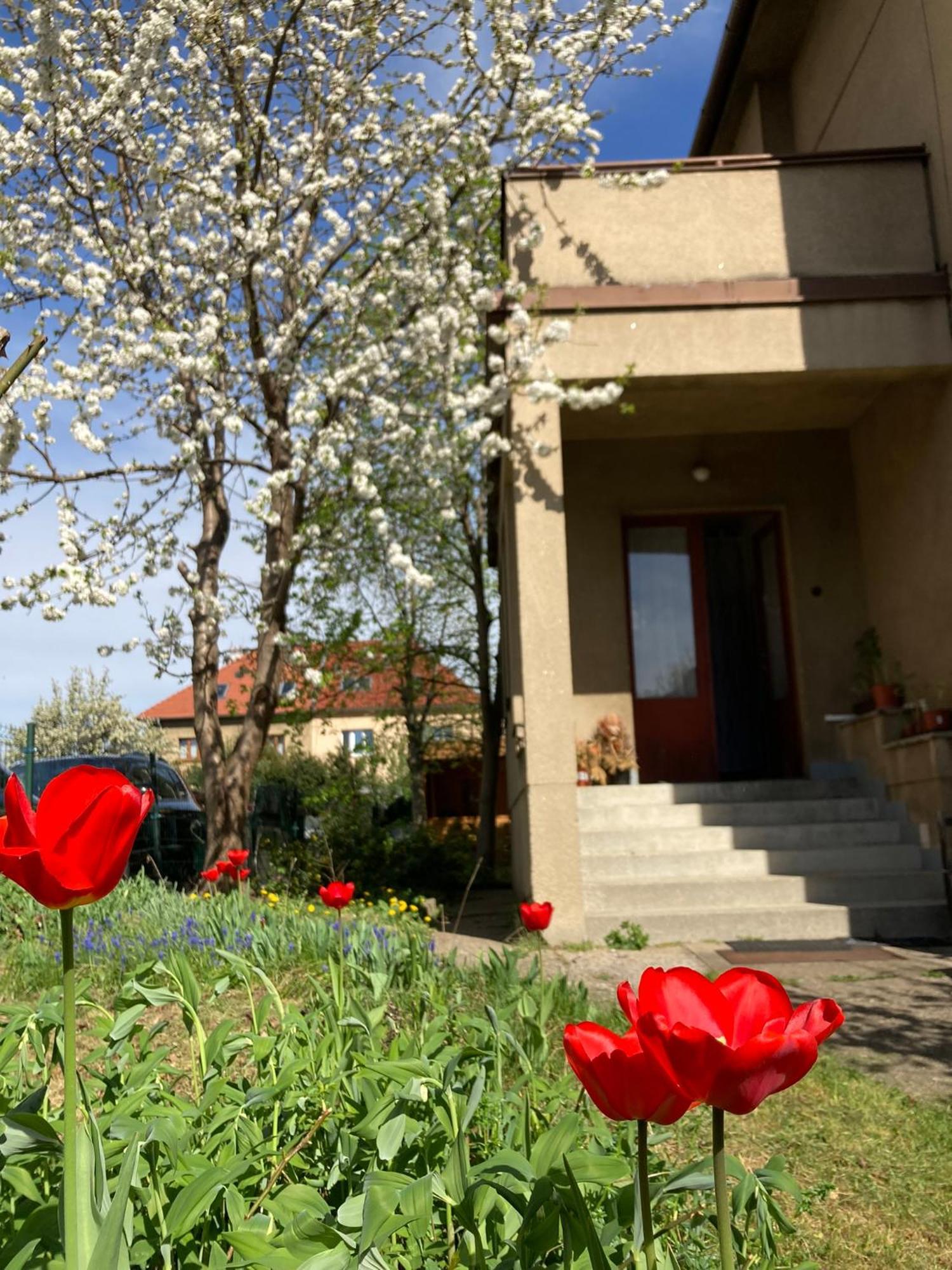 Spacious Apartment - Free Parking! Praha Bagian luar foto
